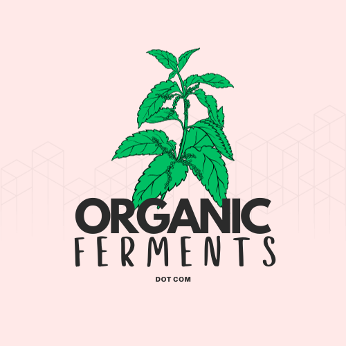 Fermented Plant Extract - Nettle