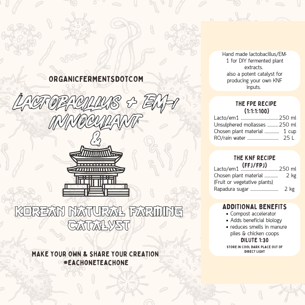 Lactobacillus + EM-1 innoculant & KNF catalyst (1L)